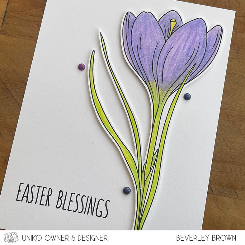Spring Botanicals Crocus Clear Stamp Set