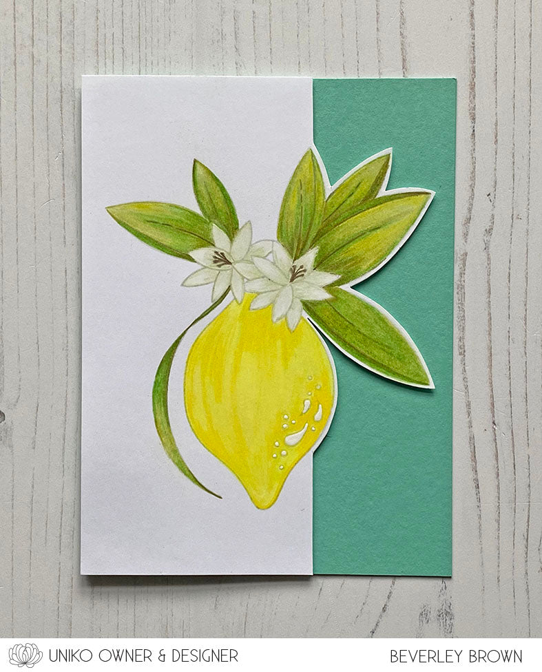 Organically Zesty Clear Stamp Set