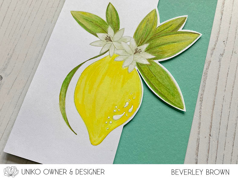 Organically Zesty Clear Stamp Set