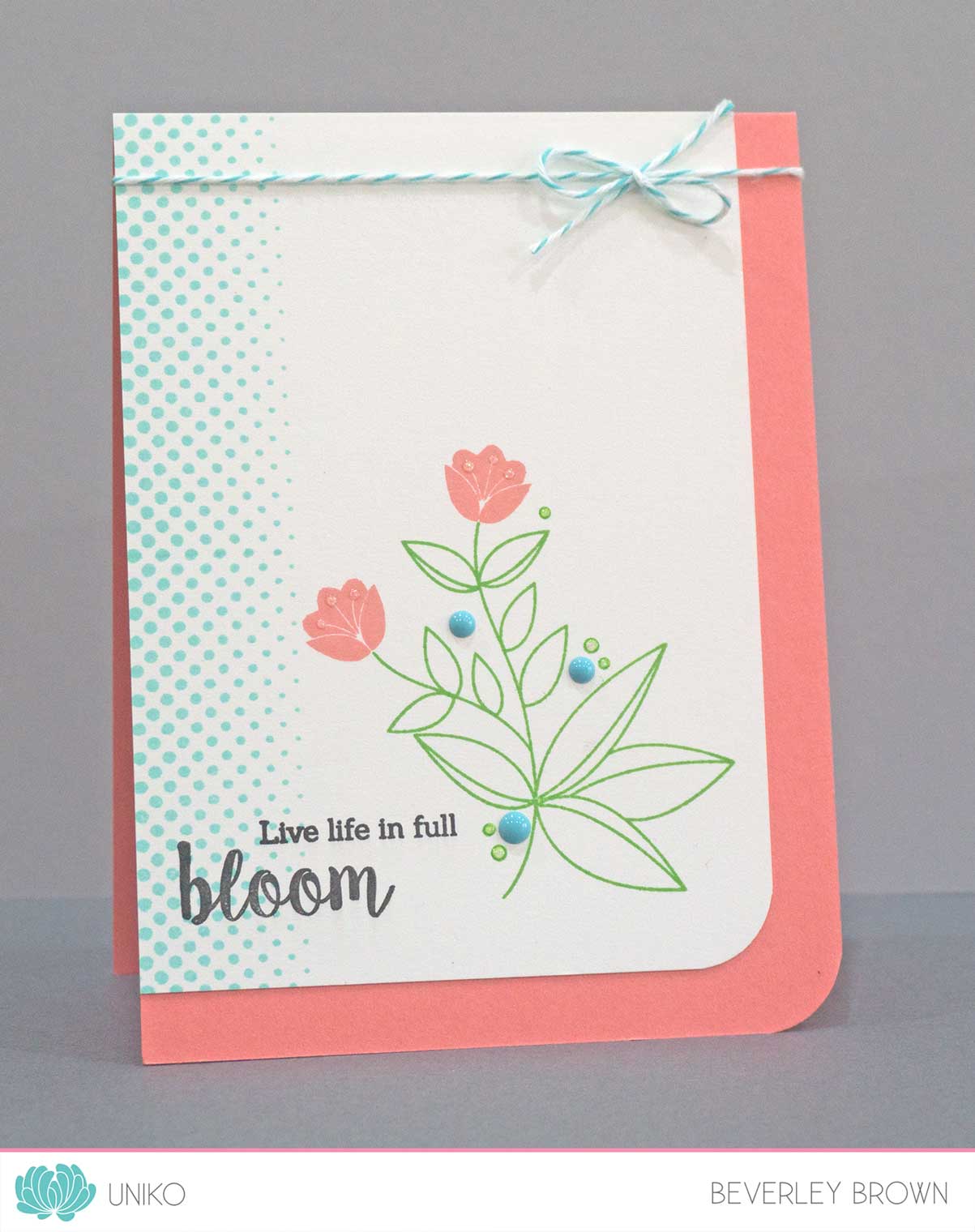 Originally Organic Additions Clear Stamps