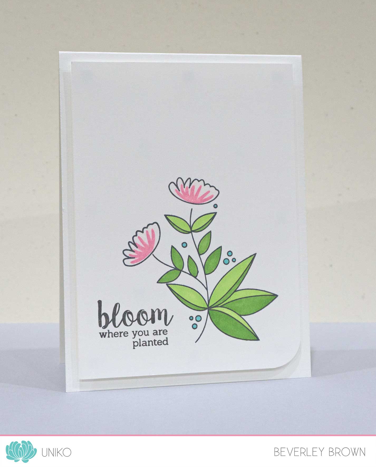 Originally Organic Clear Stamps