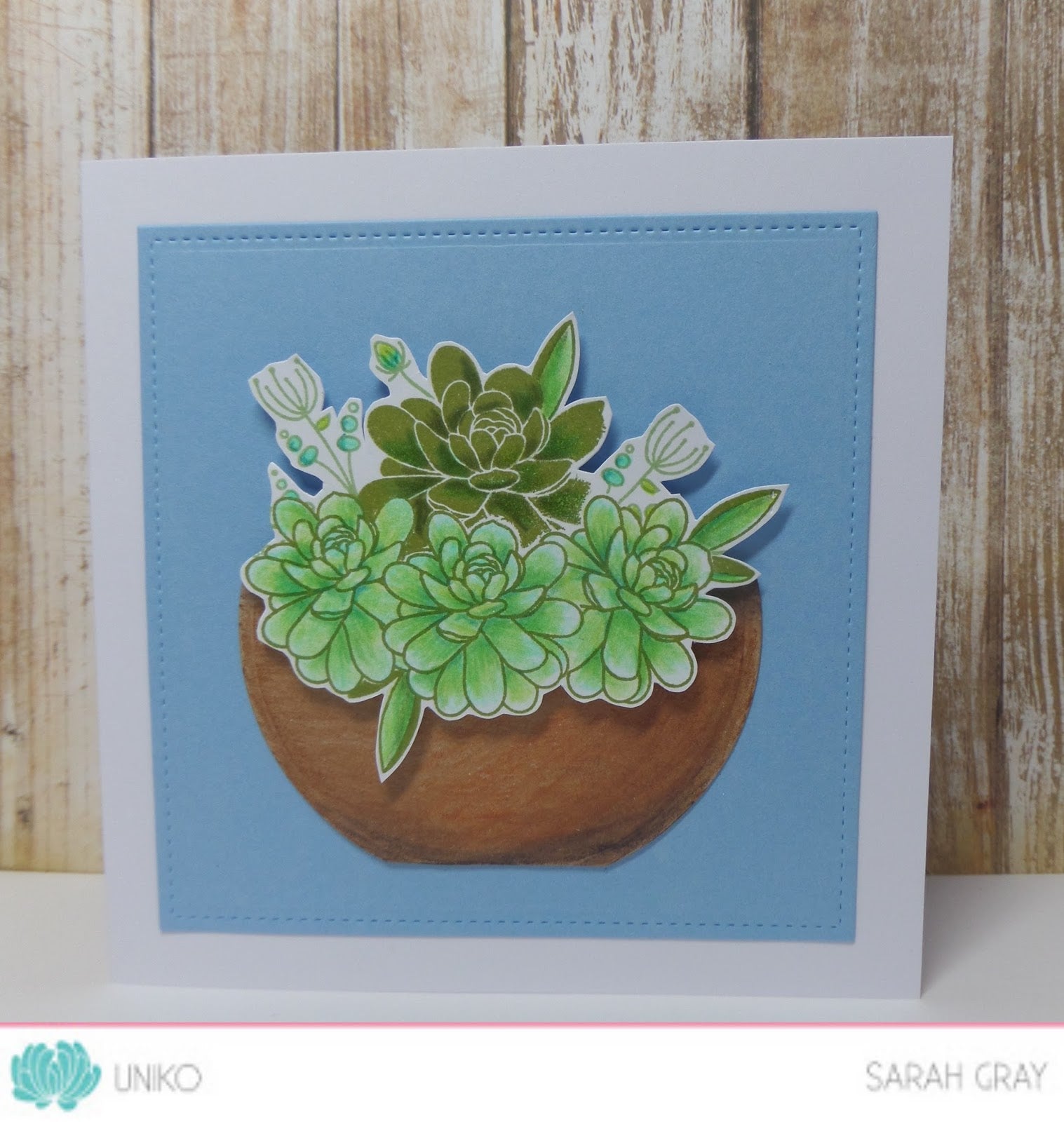 Happy Succulents Clear Stamp Set
