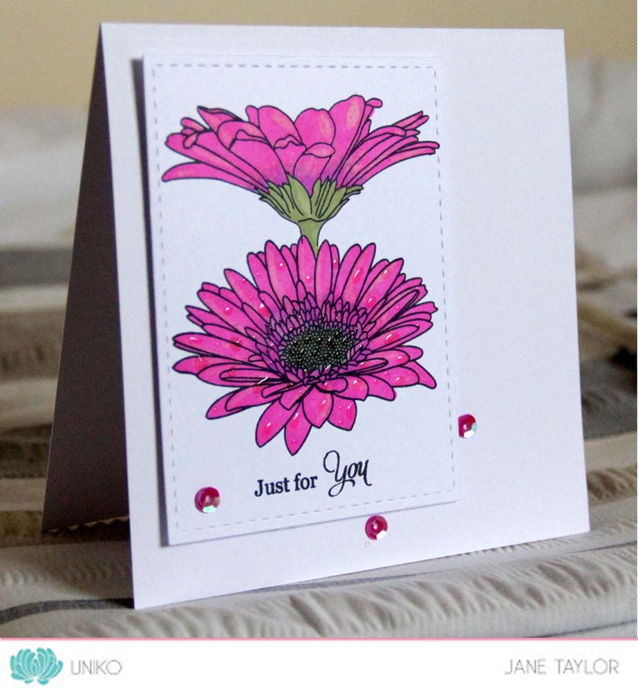 Pure Florals: Gerbera Clear Stamp Set